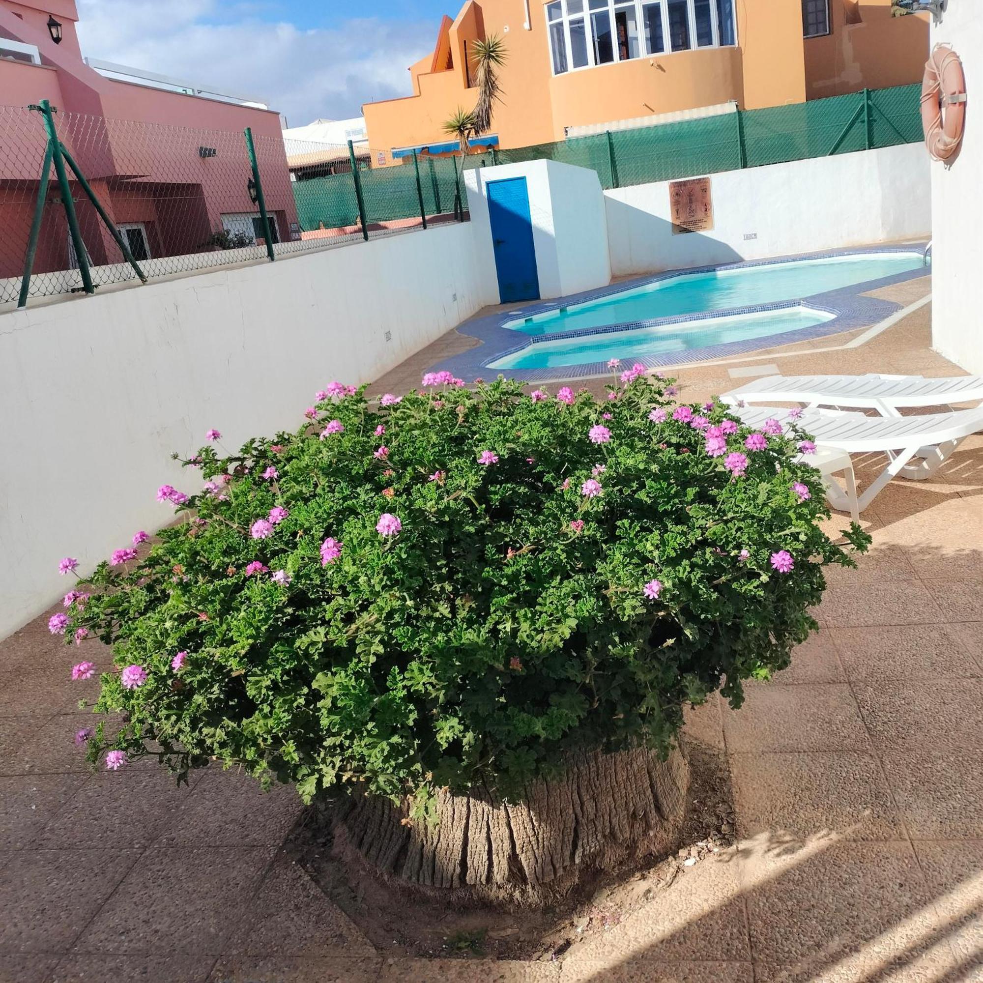Vivienda Vacacional Alipatri 칼레타데푸스테 외부 사진
